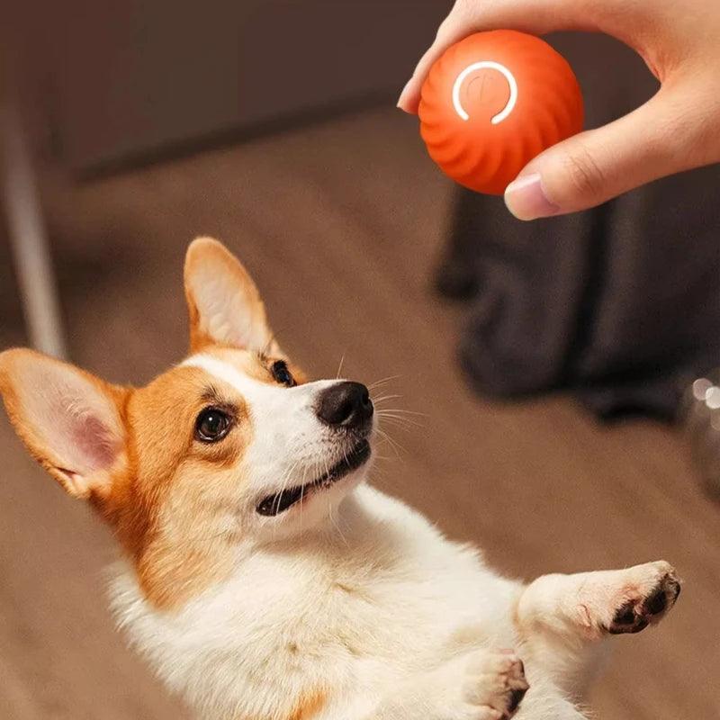 Bolinha Inteligente para Cães e Gatos